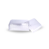 BentoStyle Rectangle Clear Lids